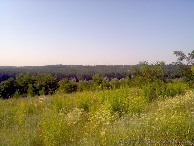 Земля 18.7 соток в Ходосовка (Ходосеевка). торг - <ro>Изображение</ro><ru>Изображение</ru> #1, <ru>Объявление</ru> #861968