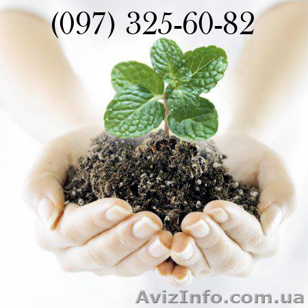 Продам СЗР отечественной сертификации - <ro>Изображение</ro><ru>Изображение</ru> #1, <ru>Объявление</ru> #888092