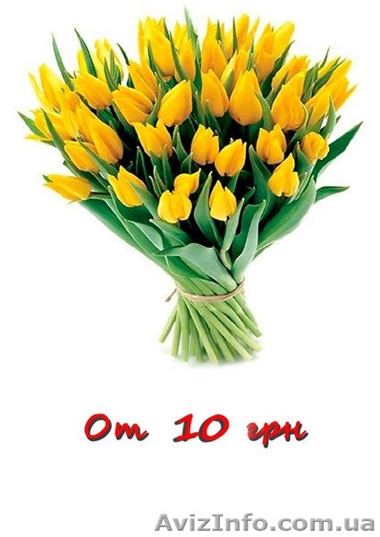 Срезы Тюльпанов. Доставка цветов - <ro>Изображение</ro><ru>Изображение</ru> #1, <ru>Объявление</ru> #892946