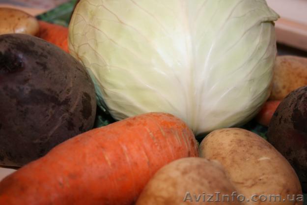 Продам капусту......................................................... - <ro>Изображение</ro><ru>Изображение</ru> #1, <ru>Объявление</ru> #891765