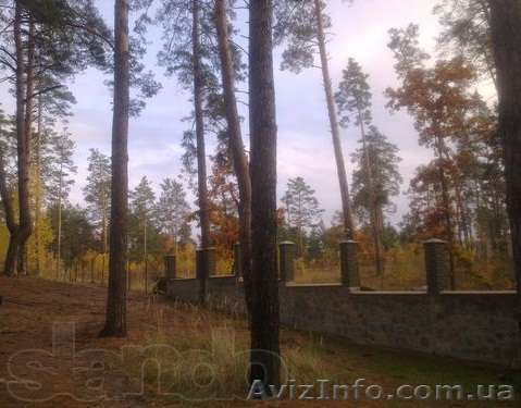 Продам элитный участок! - <ro>Изображение</ro><ru>Изображение</ru> #1, <ru>Объявление</ru> #901826