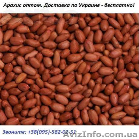 Арахис болд оптом. Доставка бесплатно - <ro>Изображение</ro><ru>Изображение</ru> #1, <ru>Объявление</ru> #903978