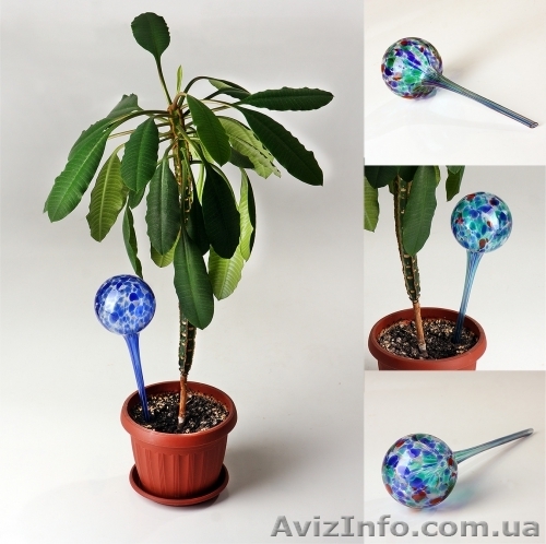 Шар для полива растений Аква Глоб - <ro>Изображение</ro><ru>Изображение</ru> #1, <ru>Объявление</ru> #905507