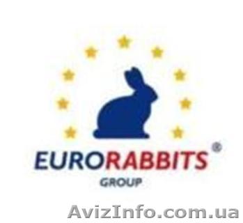 Предлагаем прибыльный  бизнес - <ro>Изображение</ro><ru>Изображение</ru> #1, <ru>Объявление</ru> #900555