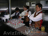 Бармен на круизный лайнер. Курсы бармена, обучение барменов, школа барменов! - <ro>Изображение</ro><ru>Изображение</ru> #1, <ru>Объявление</ru> #913002