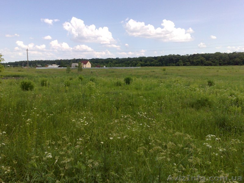 Продам участок в Андреевке - <ro>Изображение</ro><ru>Изображение</ru> #1, <ru>Объявление</ru> #911097