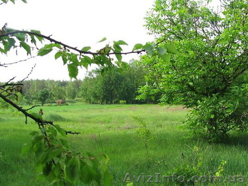 продажа участка не дорого срочно - <ro>Изображение</ro><ru>Изображение</ru> #1, <ru>Объявление</ru> #909135