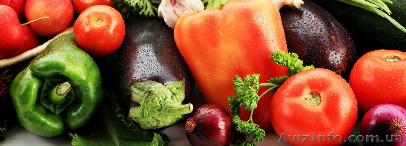 Компания KMG Group - фрукты и овощи из Польши оптом. - <ro>Изображение</ro><ru>Изображение</ru> #1, <ru>Объявление</ru> #925423