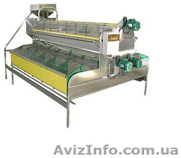 Клетка универсальная  - <ro>Изображение</ro><ru>Изображение</ru> #1, <ru>Объявление</ru> #925790