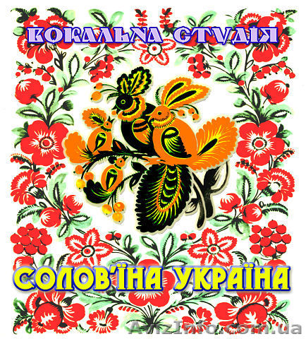 Услуги вокальной студии - <ro>Изображение</ro><ru>Изображение</ru> #1, <ru>Объявление</ru> #948551