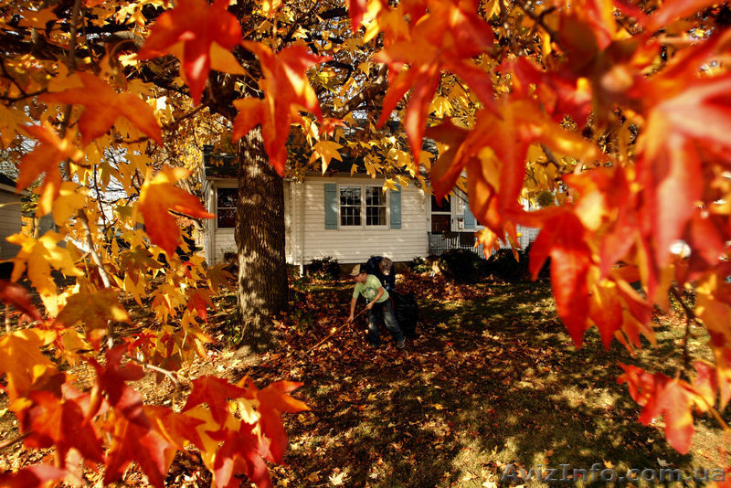 "Стимекс" открывает бархатный сезон осенних скидок на металлопластиковые окна. - <ro>Изображение</ro><ru>Изображение</ru> #1, <ru>Объявление</ru> #958407