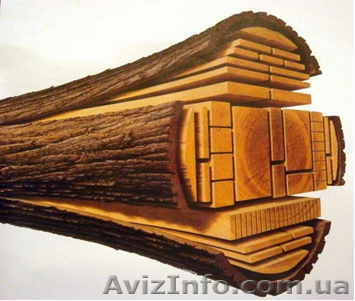 Пиломатериалы цена - <ro>Изображение</ro><ru>Изображение</ru> #1, <ru>Объявление</ru> #956154