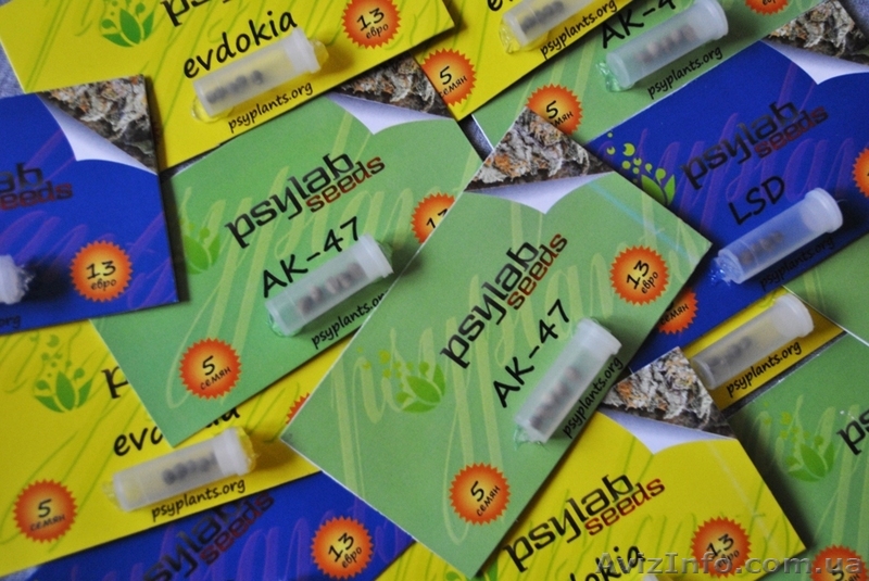 Продаю семена редких растений - <ro>Изображение</ro><ru>Изображение</ru> #1, <ru>Объявление</ru> #952571