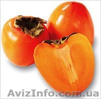 Хурма оптом, Киев - <ro>Изображение</ro><ru>Изображение</ru> #1, <ru>Объявление</ru> #984853