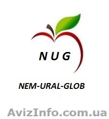 Прямые поставки яблока производства Польша - <ro>Изображение</ro><ru>Изображение</ru> #1, <ru>Объявление</ru> #976958