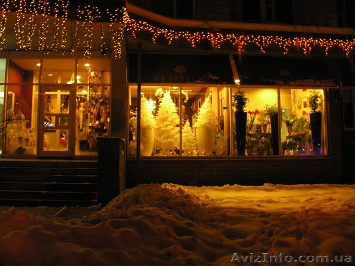 КАК ОТКРЫТЬ ЦВЕТОЧНЫЙ МАГАЗИН - <ro>Изображение</ro><ru>Изображение</ru> #1, <ru>Объявление</ru> #985817