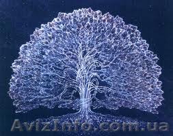 Потрібні на роботу   столяр а   високої кваліфікації - <ro>Изображение</ro><ru>Изображение</ru> #1, <ru>Объявление</ru> #1006369