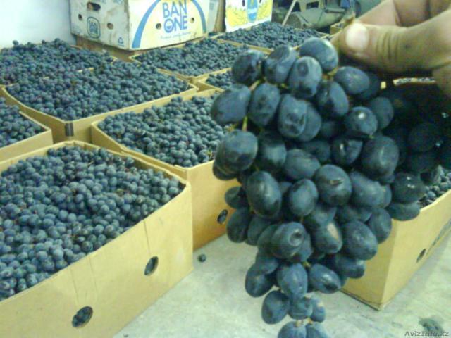 Предлагаем  Виноград Мелким оптом  - <ro>Изображение</ro><ru>Изображение</ru> #1, <ru>Объявление</ru> #1005629