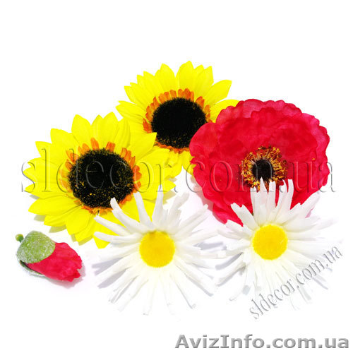 Искусственные растения и всё для декора любого интерьера - <ro>Изображение</ro><ru>Изображение</ru> #1, <ru>Объявление</ru> #1014271