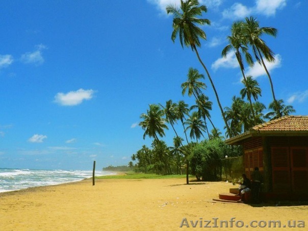 ШРІ ЛАНКА З КИЄВА - <ro>Изображение</ro><ru>Изображение</ru> #1, <ru>Объявление</ru> #1020139