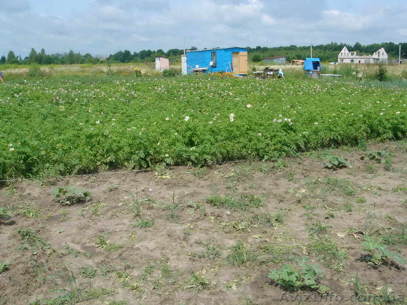 Участок с. ОСЫКОВО, 32 км от КП, 12 соток - <ro>Изображение</ro><ru>Изображение</ru> #1, <ru>Объявление</ru> #1047135