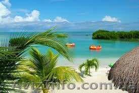 Готовые оффшорные компании в Белизе - <ro>Изображение</ro><ru>Изображение</ru> #1, <ru>Объявление</ru> #1031726