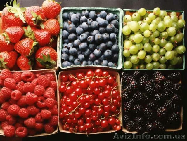 Сбор урожая на фермах в Финляндии - <ro>Изображение</ro><ru>Изображение</ru> #1, <ru>Объявление</ru> #1042009