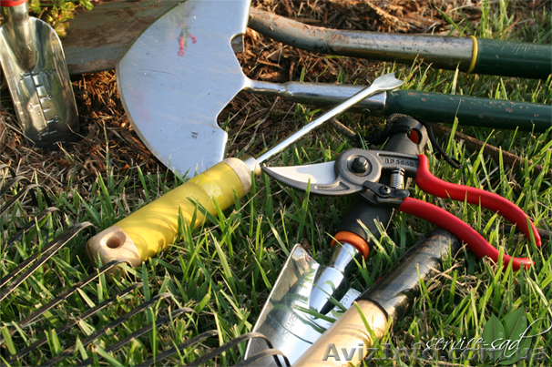 Услуги садовника, уход за садом - <ro>Изображение</ro><ru>Изображение</ru> #1, <ru>Объявление</ru> #1049278