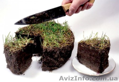 Тренинг "Земельные отношения в Украине. " - <ro>Изображение</ro><ru>Изображение</ru> #1, <ru>Объявление</ru> #1049603