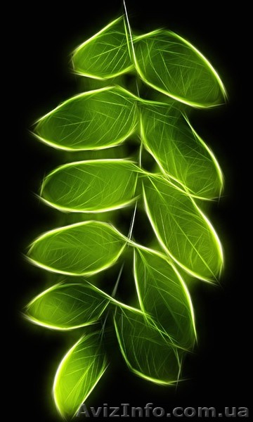 Продавец продовольственной группы товаров. - <ro>Изображение</ro><ru>Изображение</ru> #1, <ru>Объявление</ru> #1068592