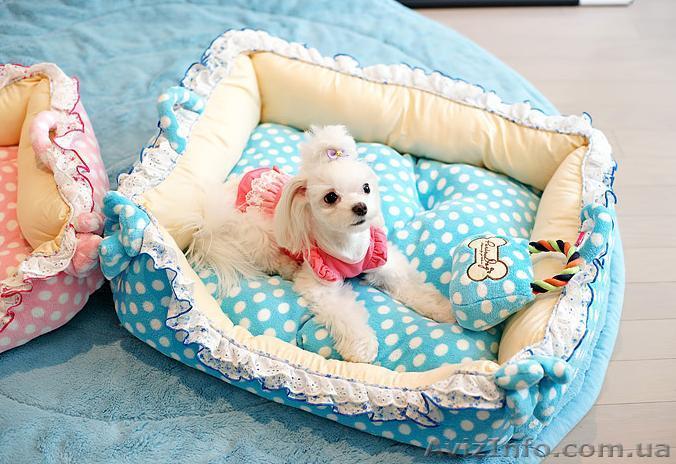 Лежаки, домики для собак - <ro>Изображение</ro><ru>Изображение</ru> #1, <ru>Объявление</ru> #1073104