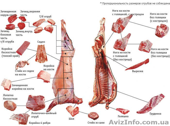 Куплю Баранину в Киеве - <ro>Изображение</ro><ru>Изображение</ru> #1, <ru>Объявление</ru> #1087306
