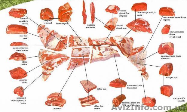 Куплю телятину в Кивеве - <ro>Изображение</ro><ru>Изображение</ru> #1, <ru>Объявление</ru> #1087308