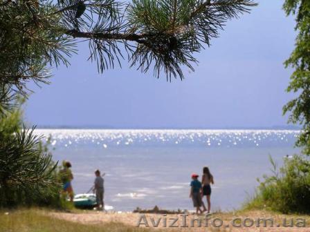 Отдых на Шацких озерах - <ro>Изображение</ro><ru>Изображение</ru> #1, <ru>Объявление</ru> #1091123