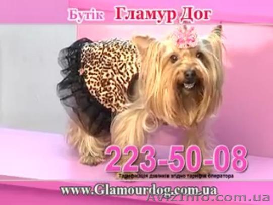 Распродажа одежды для собак - <ro>Изображение</ro><ru>Изображение</ru> #1, <ru>Объявление</ru> #1108949
