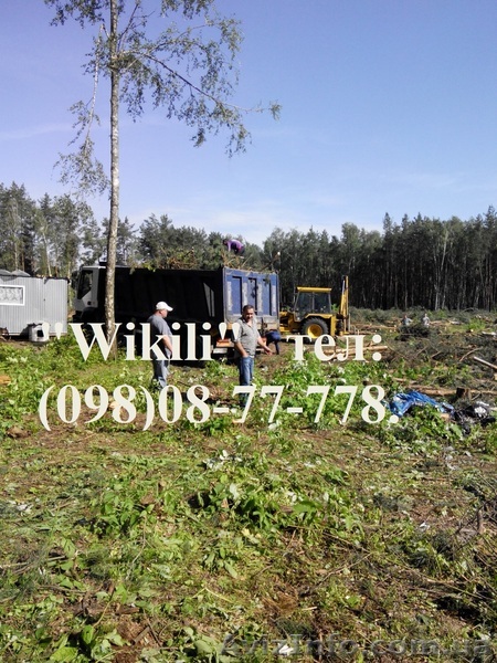 расчистка участков: расчистка садового участка - <ro>Изображение</ro><ru>Изображение</ru> #1, <ru>Объявление</ru> #1101198