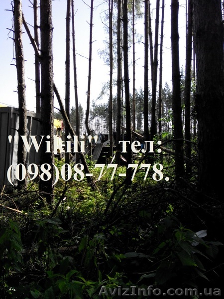 Удаление деревьев: валка деревьев, резка деревьев - <ro>Изображение</ro><ru>Изображение</ru> #1, <ru>Объявление</ru> #1101201