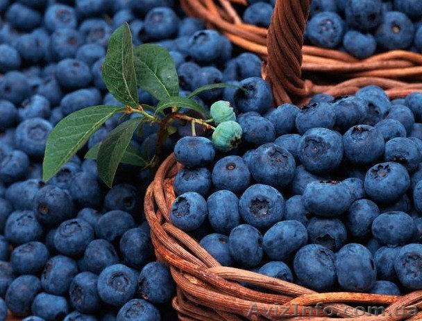 Швеция -  2015! - <ro>Изображение</ro><ru>Изображение</ru> #1, <ru>Объявление</ru> #1133745