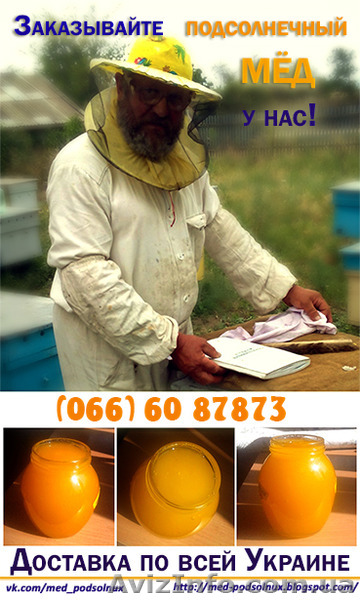 Мед подсолнечный 2014 года - <ro>Изображение</ro><ru>Изображение</ru> #1, <ru>Объявление</ru> #1139572