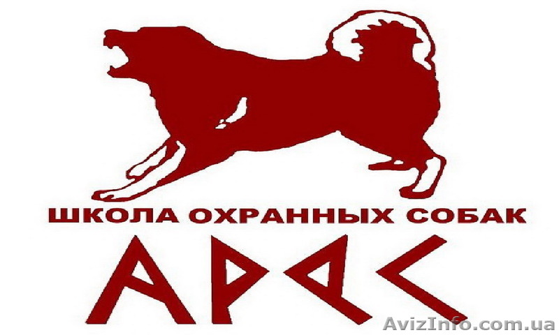 Школа охранных собак " АРЕС "  - <ro>Изображение</ro><ru>Изображение</ru> #1, <ru>Объявление</ru> #1148077