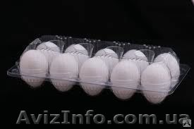Лоток пластиковый под куриные яйца. - <ro>Изображение</ro><ru>Изображение</ru> #1, <ru>Объявление</ru> #1149357