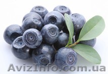 Экстракт Ягод черники - 50 мл - <ro>Изображение</ro><ru>Изображение</ru> #1, <ru>Объявление</ru> #1156899
