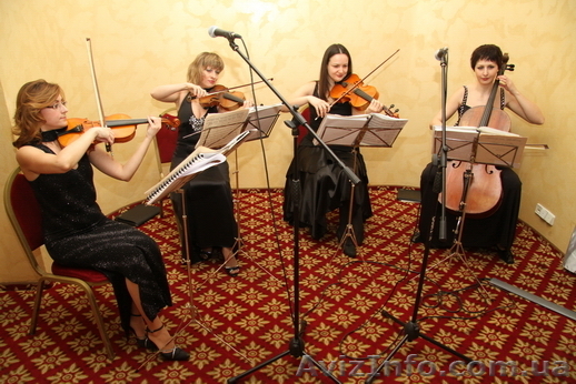 Струнный квартет. Музыка на праздник.  - <ro>Изображение</ro><ru>Изображение</ru> #1, <ru>Объявление</ru> #964188