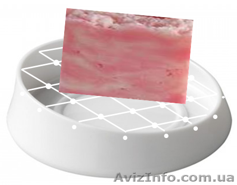 Эксклюзивный Подарок! Мыльница /Hamac-Rosa/ - <ro>Изображение</ro><ru>Изображение</ru> #1, <ru>Объявление</ru> #1186554