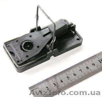 Мышеловка "Гарант-100%". Недорогая, эффективная мышеловка нового поколения. Мышь - <ro>Изображение</ro><ru>Изображение</ru> #1, <ru>Объявление</ru> #1194097