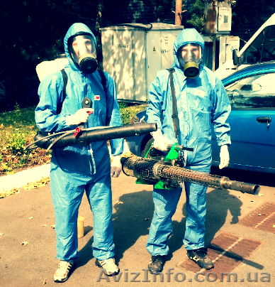 Дезинсекция, дератизация - <ro>Изображение</ro><ru>Изображение</ru> #1, <ru>Объявление</ru> #1209220