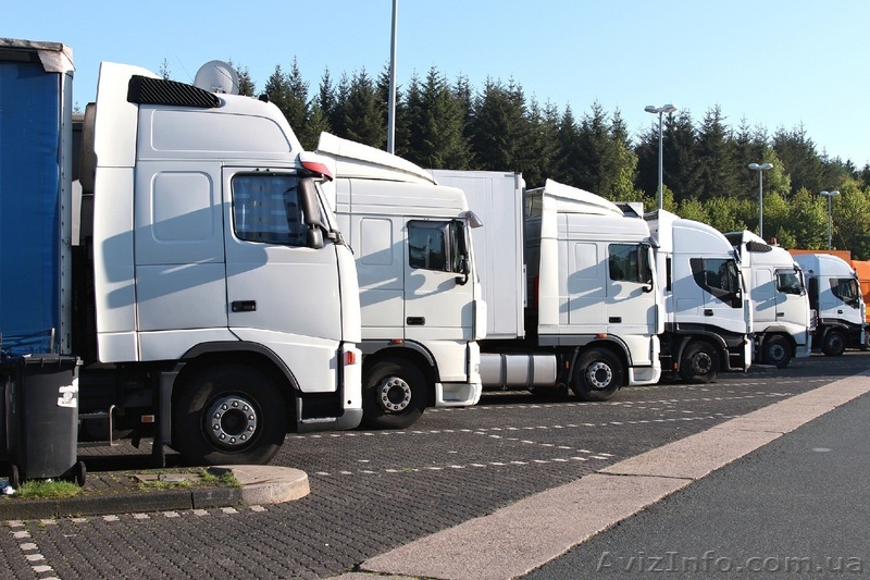 Таможенные услуги Киев Львов Одесса - <ro>Изображение</ro><ru>Изображение</ru> #1, <ru>Объявление</ru> #1212456