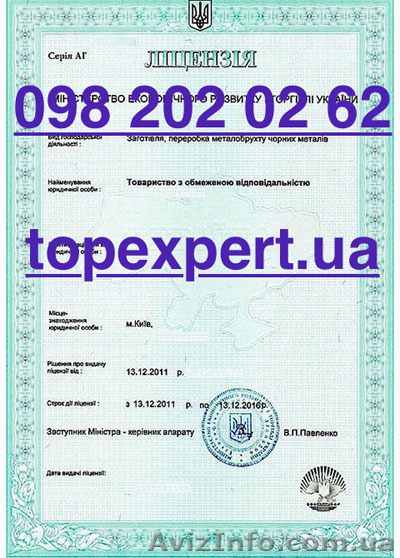 Лицензия на операции с ломом черных и цветных металлов - <ro>Изображение</ro><ru>Изображение</ru> #1, <ru>Объявление</ru> #1229314