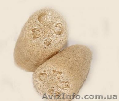 Люфа натуральная оптом и в розницу - <ro>Изображение</ro><ru>Изображение</ru> #1, <ru>Объявление</ru> #1234479