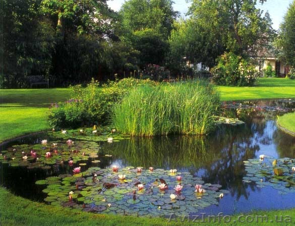 Ландшафтный дизайнер, озеленение участка,  3D-визуализация. - <ro>Изображение</ro><ru>Изображение</ru> #1, <ru>Объявление</ru> #1237984